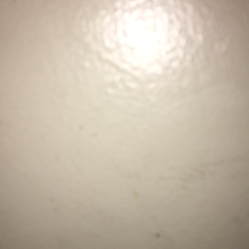 Meet your Posher, Hailey